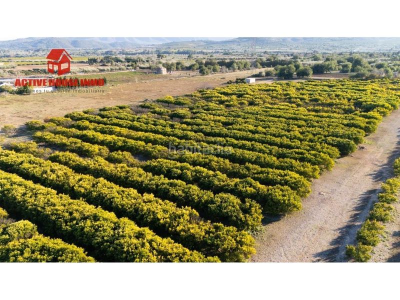 Foto 76a2cba6-4ab7-4a35-8787-291b2c26c285. Finca rústica a Santa Bàrbara