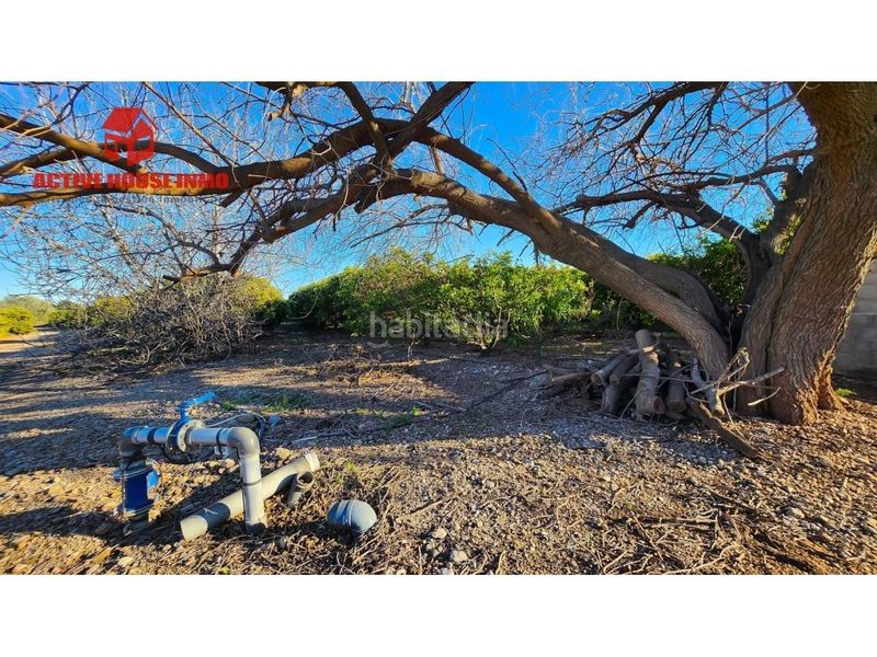 Foto 8a393e02-f3f2-4500-90a9-4ddc549839e4. Finca rústica a Santa Bàrbara