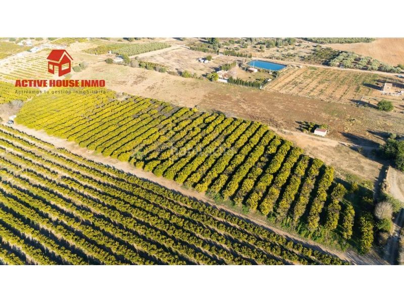 Foto cdd6823e-685e-4672-8b31-7248c0e84070. Finca rústica a Santa Bàrbara