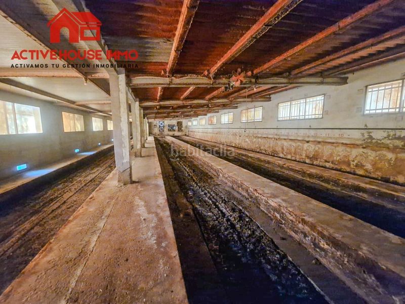 Foto 2dfe7da9-d575-4f67-9d17-f57d009a2c16. Masia a Alcanar