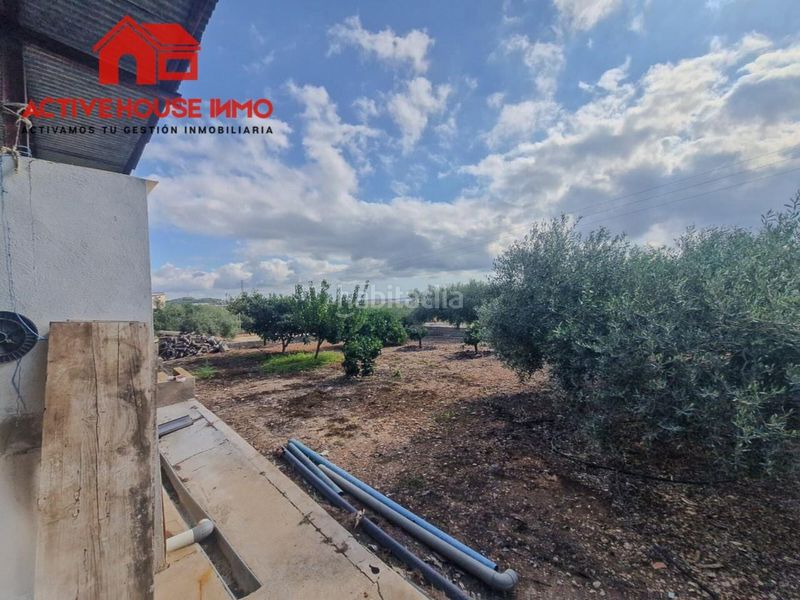 Foto 80321e14-0b31-466b-8c4e-8ce3e094309a. Masia a Alcanar