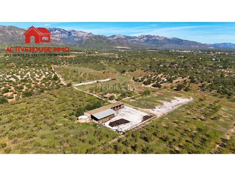 Foto e621f991-0c31-4bc8-b97a-4d664b24697a. Masia a Roquetes
