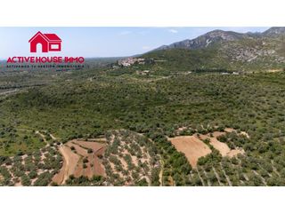 Masia a Mas de Barberans. Finca rustica  de 6 jornales en venta en mas de barberans