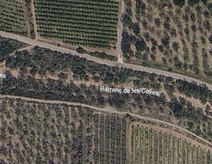 Fondo rustico  Polígono 17 parcela 11 les coves. la galera (tarragona). Finca rústica económica en la galera