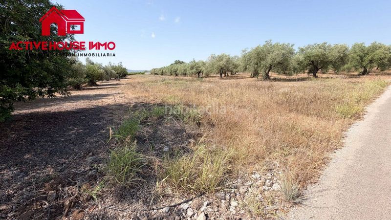 Foto 353663d7-0ae1-4d74-bec2-ef1c42f3b8d0. Finca rústica a Santa Bàrbara