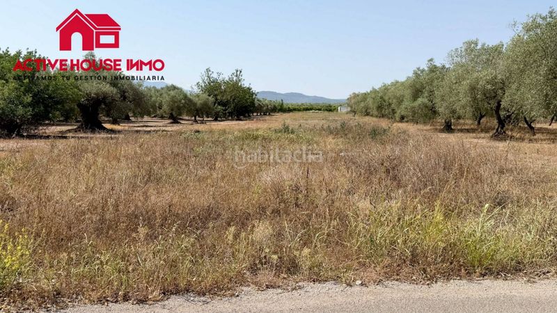 Foto 58f8a67a-eaa6-45db-be6f-f6464d59244a. Finca rústica a Santa Bàrbara