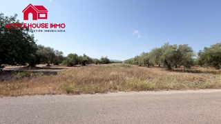 Fondo rustico  Cami del romere. Finca con agua en santa bàrbara