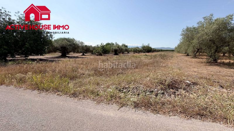 Foto d2233e4c-2be4-4725-b521-ace3dd6e26c7. Finca rústica a Santa Bàrbara