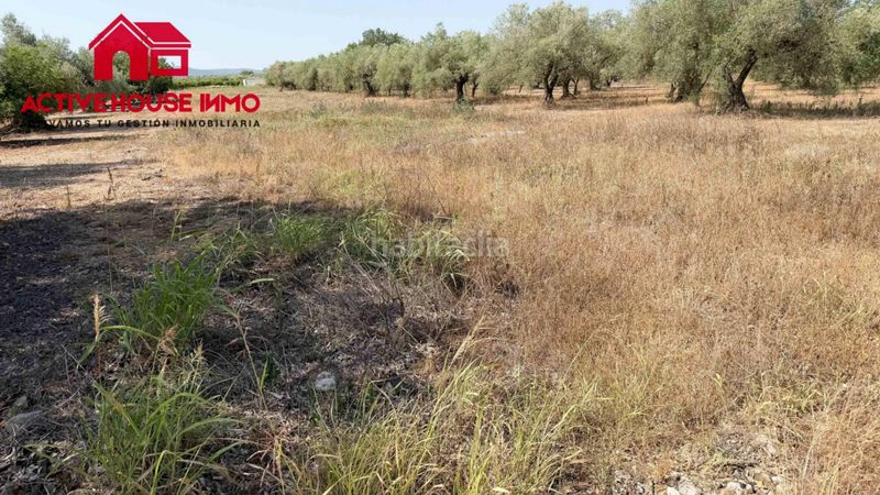 Foto e373616e-ef29-4984-804c-1ea944167c4b. Finca rústica a Santa Bàrbara