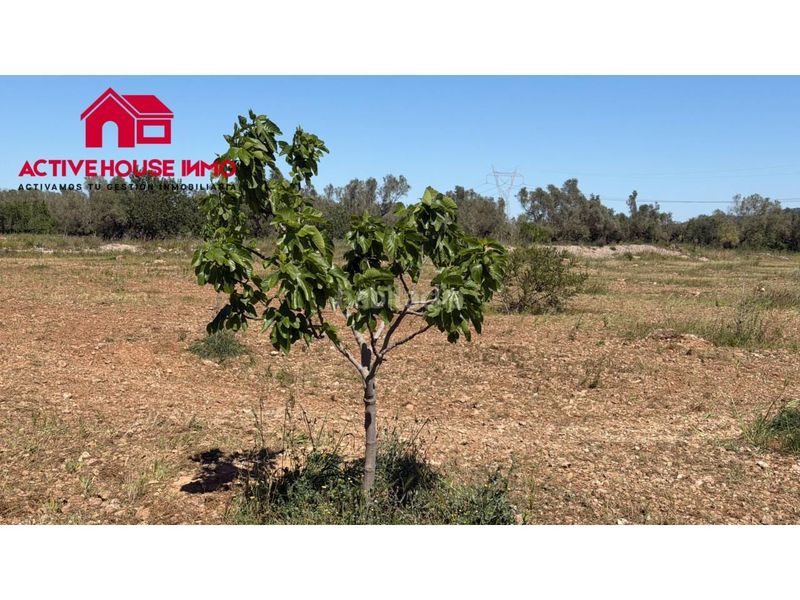 Foto 12fca635-f1a5-435d-aad8-73d783944633. Finca rústica a Godall
