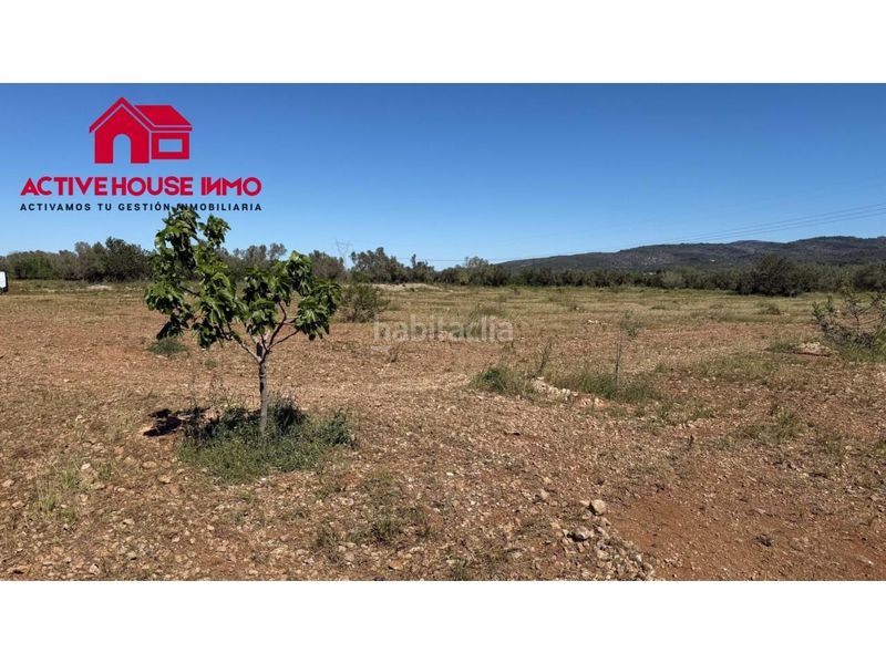 Foto 2cb19873-c2eb-4780-9620-7e1a8b89653a. Finca rústica a Godall