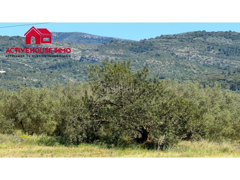 Foto a8f99780-1097-4e31-9ce6-9fc13217e5c6. Finca rústica a Godall