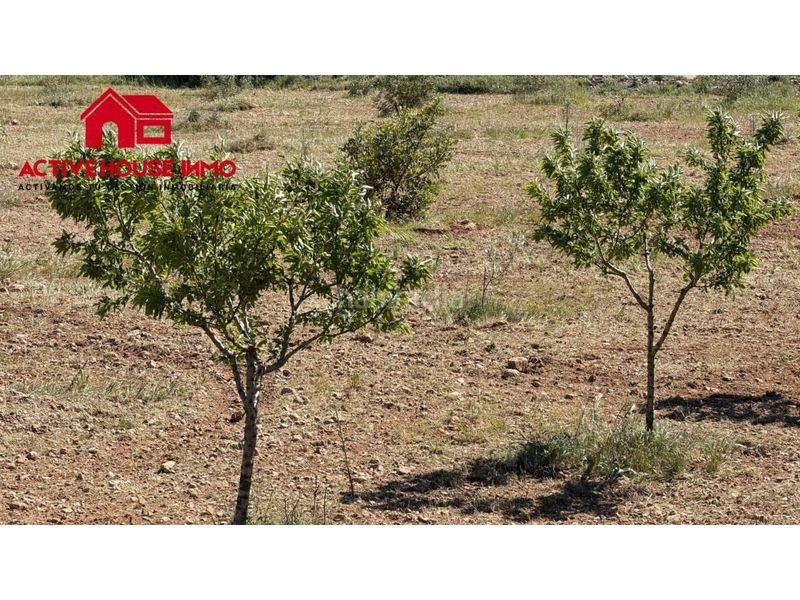 Foto b82c90c5-dcc5-4ab3-b4ed-fdfef5c1c376. Finca rústica a Godall