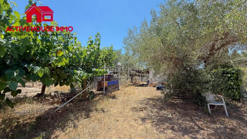 Foto 5c4c2882-2fb3-4df0-8c47-c3bcea02577a. Masia amb aparcament a Alcanar