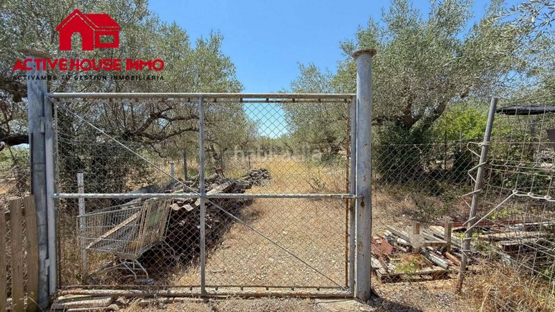 Foto 67fd1d51-23da-4f8e-b151-38c492fb9592. Masia amb aparcament a Alcanar