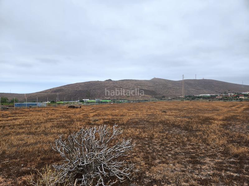 Foto c1bba774-b83c-4830-9cb7-d954ab741581. Finca rústica se vende parcela en Sequero Ingenio
