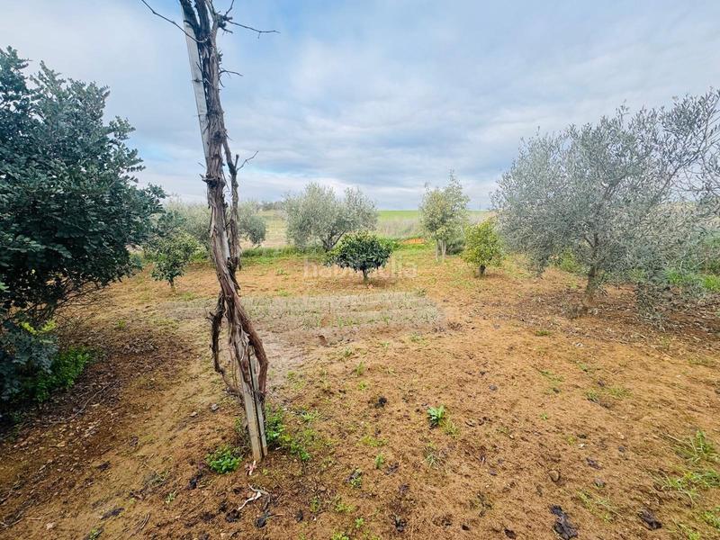 Foto 900f10d8-69ee-4dd6-b84e-33667634be74. Masía finca rustica con construccion de 200 m2 en Don Álvaro