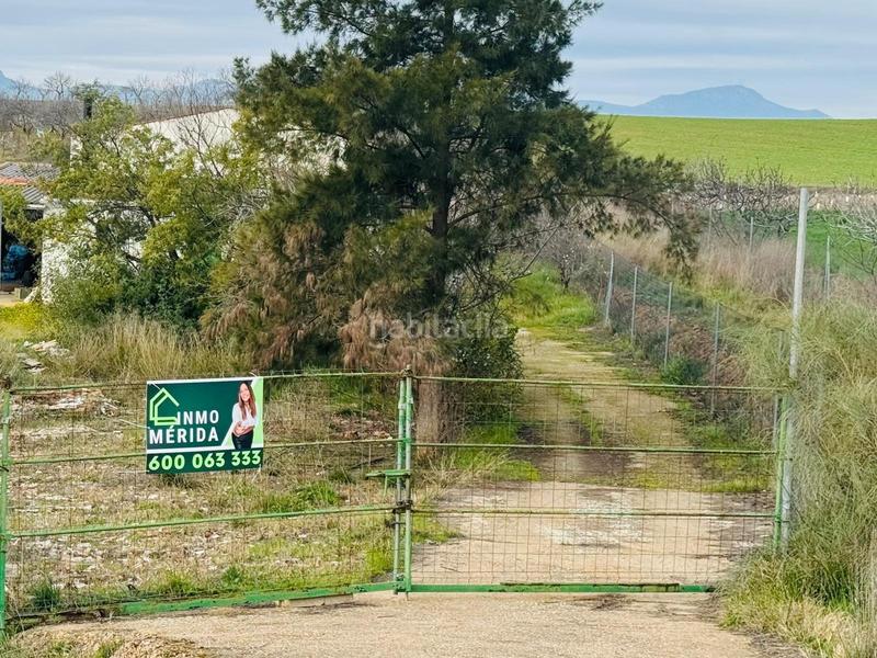 Foto c1ff0b95-5409-445a-812a-0fcfda799dd0. Masía finca rustica con construccion de 200 m2 en Don Álvaro