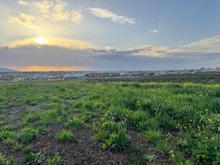 Finca rústica en Sur. Finca de 5 hectáreas en bodegones  salesianos, mérida