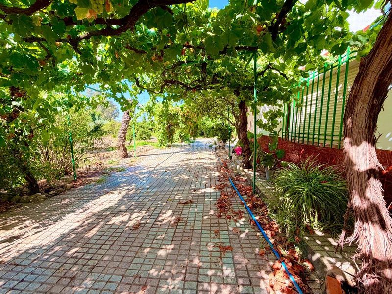 Foto 476da4bf-96b6-44cf-a865-3d74d3ef715b. Casa en Valverde de Mérida