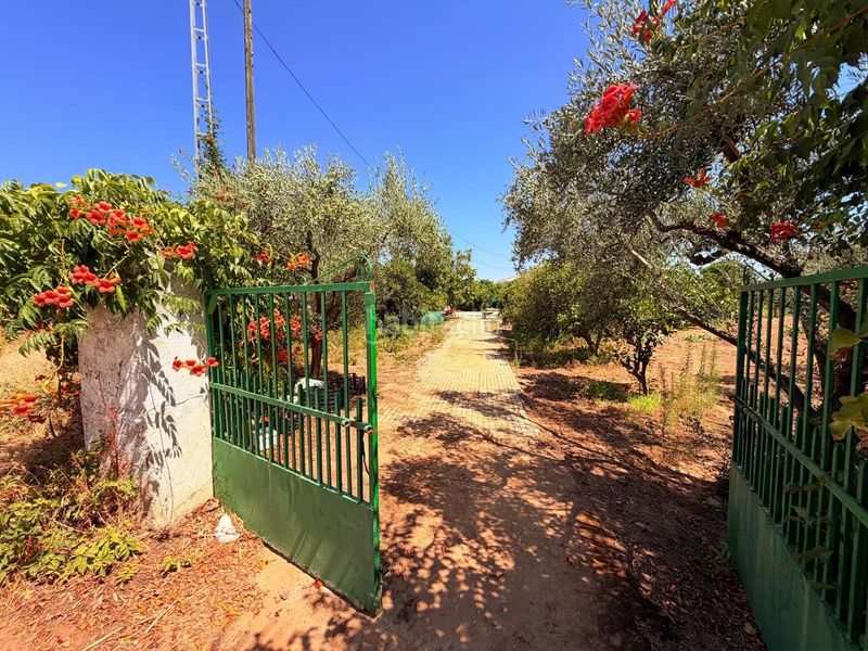 Foto bed7a3b2-27f0-471e-9209-d322de86ec77. Casa en Valverde de Mérida