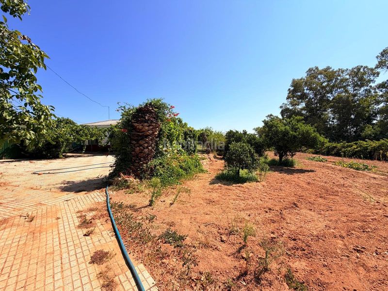 Foto dd562e76-cafd-47c2-a9ee-939a68531533. Casa en Valverde de Mérida