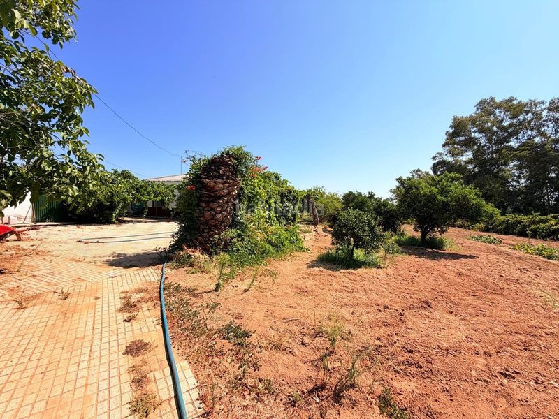 Foto f64d2ec0-e860-4c5b-9006-d3b69e4dee46. Casa en Valverde de Mérida