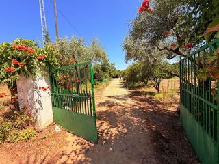 Casa en Valverde de M�rida