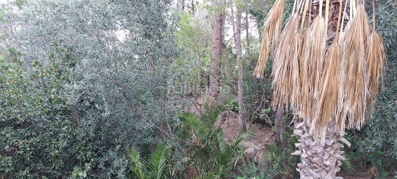 Foto 0a9d0128-2a8f-4eac-ac9c-6dfce9a8666f. Casa chalet en Alberic