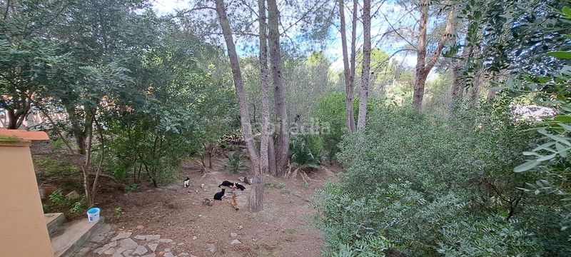 Foto 44be0831-60cf-4e55-80c5-4e0547d43650. Casa chalet en Alberic