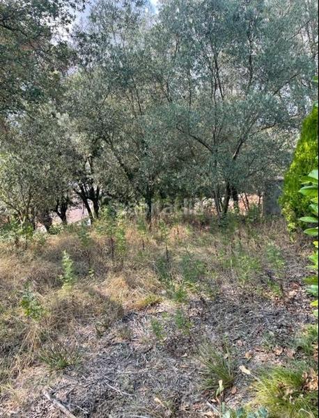 Foto 2a62bb71-d2d1-4a6f-9385-f00cd5484b70. Wohngrundstück in Taradell