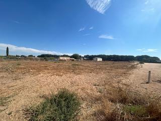 Propriété à Palacios y Villafranca (Los). Terreno por el alcornocal!