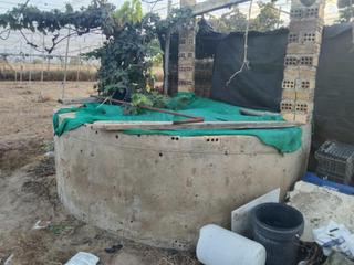 Finca rstica en Pedanas Norte. Terreno en camino hilito!