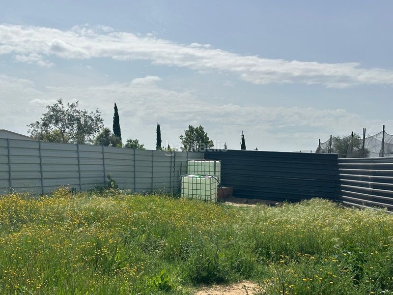 Foto bacf29b2-8d3b-4cbf-9442-aaca6b6c0ab2. Finca rústica terreno en la indiana! en Pedanías Norte Utrera