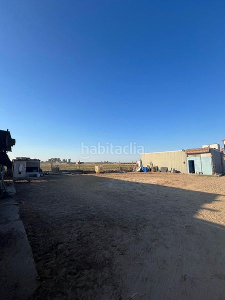 Foto 54c9eb12-4385-4dc1-8f13-efe2a1240682. Casale in Palacios y Villafranca (Los)