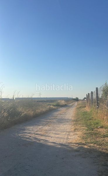 Foto a1ac53c9-a21d-4bbd-a93d-31e2cbb7f96a. Casale in Palacios y Villafranca (Los)