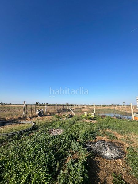 Foto b8dd159b-ef68-4a99-b9ff-8c02717e72d1. Casale in Palacios y Villafranca (Los)