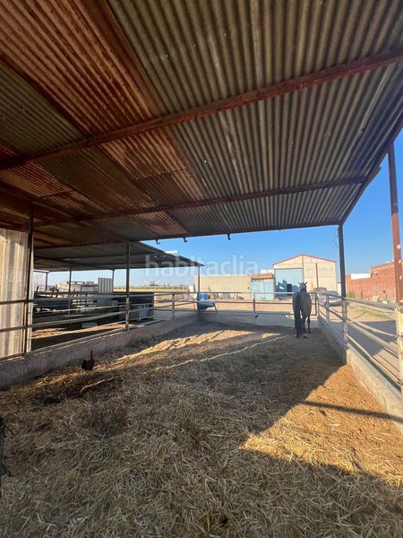 Foto bcb3765c-745a-46d4-aab8-022a2a23d423. Casale in Palacios y Villafranca (Los)