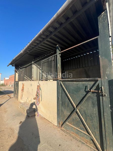 Foto f9840b3c-697b-43d7-bea6-3e99d02085ae. Casale in Palacios y Villafranca (Los)