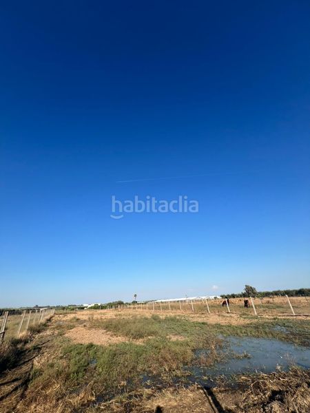 Foto ffdc387e-0332-4289-8cf2-9baf847b1366. Casale in Palacios y Villafranca (Los)