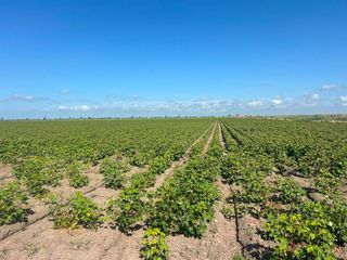Finca rústica a Pedanías Sur. Terreno en camino pinzón!