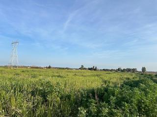 Propriété  Camino don rodrigo. Finca de 3.71 hectareas!