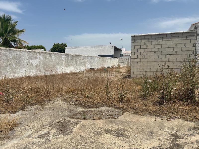 Foto ee3eb1f1-aa30-4974-aa46-deece5dac866. Casa a Pedanías Sur Utrera