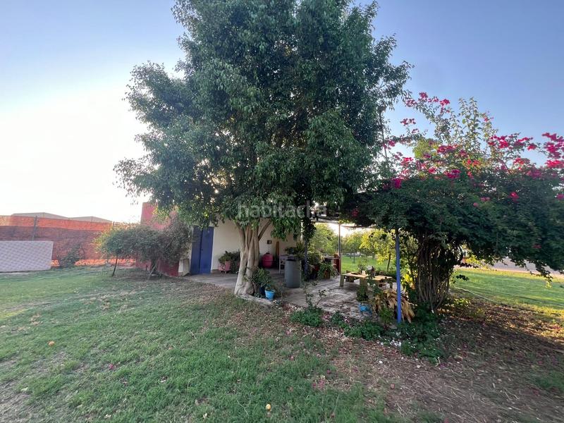 Foto a3c0cf7c-d02a-4fee-a962-162b90c8067a. Miete haus in Pedanías Norte Utrera