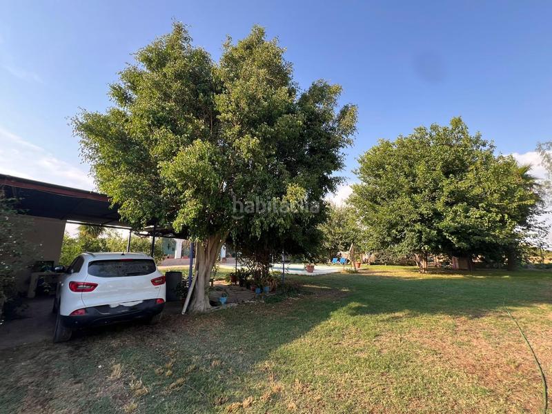 Foto bdff1f71-9d68-4c23-9637-e58b880b6496. Miete haus in Pedanías Norte Utrera