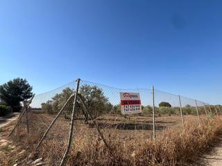 Propriété  Calle de los adrianes. Finca rustica en los adrianillos!