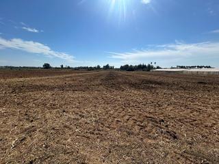 Rural plot in Palacios y Villafranca (Los). Terreno en la capitana de 9.144 m2!