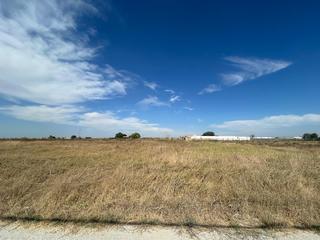 Rural plot in Palacios y Villafranca (Los). Terreno en la capitana de 4.718 m2!