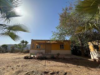 Finca rústica en Palacios y Villafranca (Los). Terreno en carretera los palillos! Finca rústica en Palacios y Villafranca (Los). Terreno en carretera los palillos!