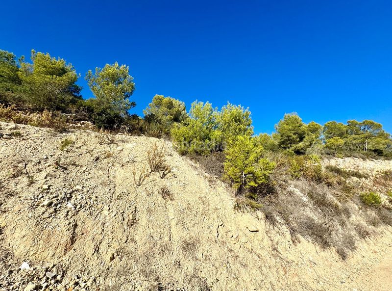 Foto 33714f92-31d8-40fa-84fa-4f9ab9e91b47. Terreny residencial a Partida Comunes-Adsubia Xàbia